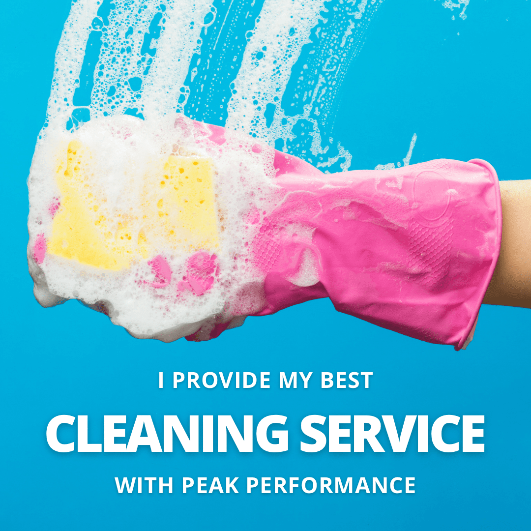 Cleaning Services - Peak Performance